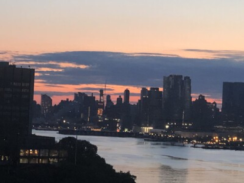 Room with a view 