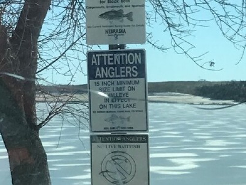 Diamond Monarx - A tribute Castle  - Gallery - 22