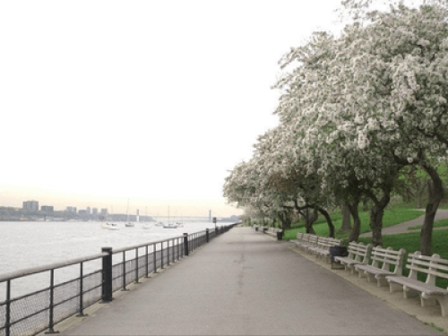 NYC Home Away from Home  * FEMALES OR COUPLE ONLY* - Gallery - 11