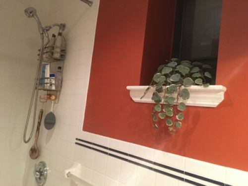 NYC Home Away from Home  * FEMALES OR COUPLE ONLY* - Gallery - 24