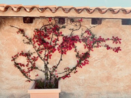Apartment 4 min walk to the sea - Gallery - 17