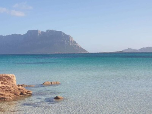 Apartment 4 min walk to the sea - Gallery - 10