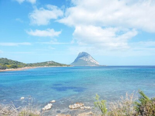 Apartment 4 min walk to the sea - Gallery - 16