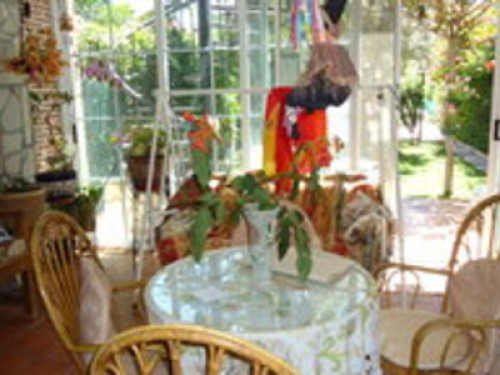 Lover of music, good food - Gallery - 24