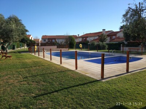 Quiet home loves meeting new people