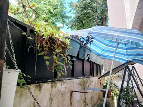Friendly Home Awaits for You