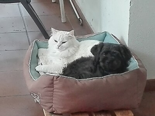 ENTREPINS