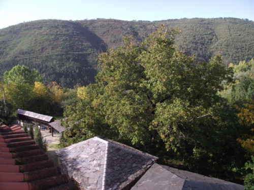 Nature Lovers  - Gallery -  5