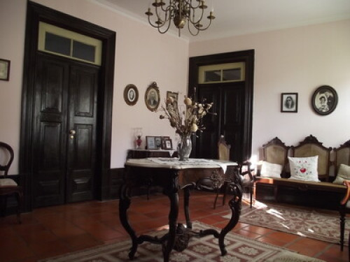 Nature Lovers - Gallery - 13