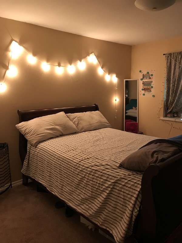  Cozy Room(Full Room)  -  Home of a Artist   - Gallery -  1