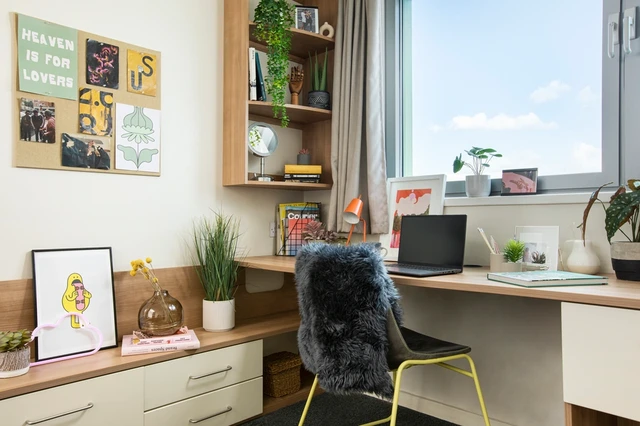  Large High Double Studio  -  Emily Bowes Court Unite  - Gallery -  3