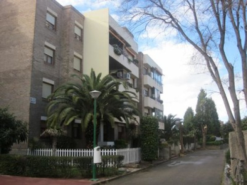 Cooking enthusiast Rubén Darío 