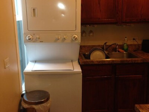 Friendly Family in Chicago - Gallery - 19