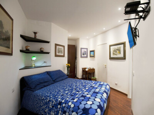 Double room + ensuite near Vatican