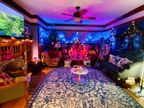 Beautiful &safe house 420Friendly - Gallery - 77