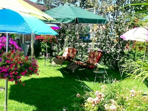 Beautiful &safe house 420Friendly - Gallery - 54