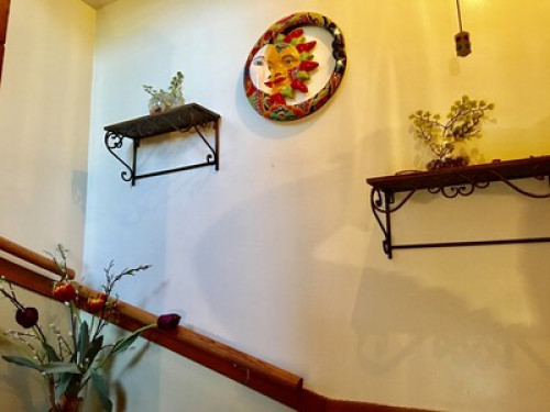 Beautiful &safe house 420Friendly - Gallery - 30