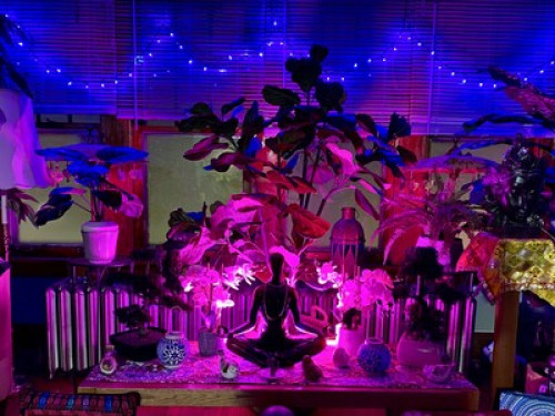 Beautiful &safe house 420Friendly - Gallery - 78