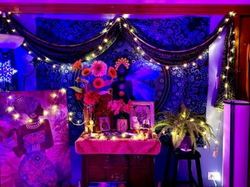 Beautiful &safe house 420Friendly - Gallery - 11