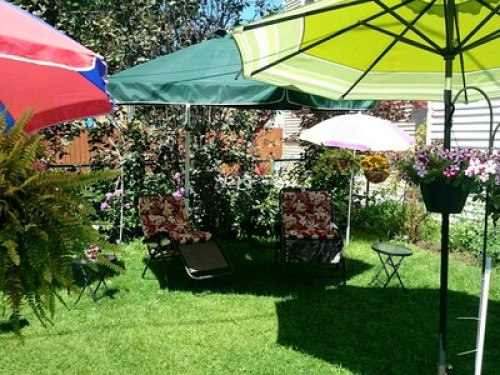 Beautiful &safe house 420Friendly - Gallery - 28