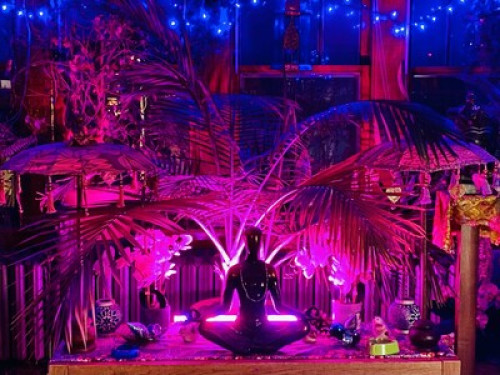 Beautiful &safe house 420Friendly - Gallery - 9