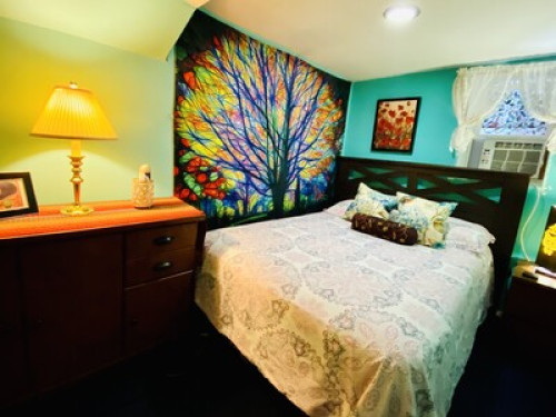 Beautiful &safe house 420Friendly  - Gallery -  5