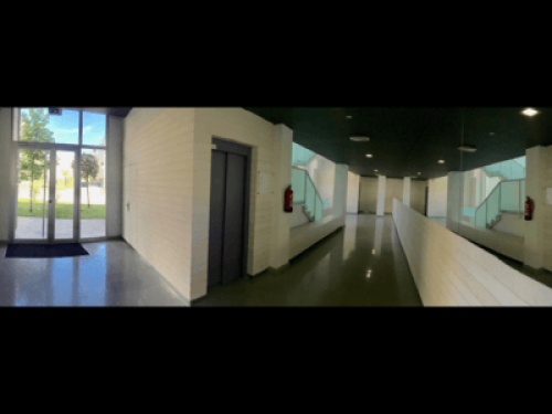 Stay with us! Females only  - Gallery -  5