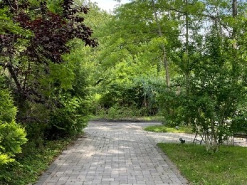 Sunnyside Ave - Gallery - 9