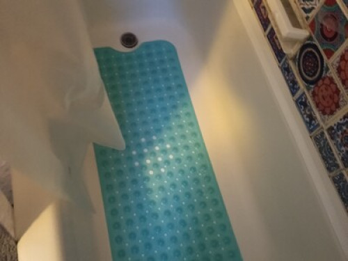 Albany Medical/ Colleges/ downtown 