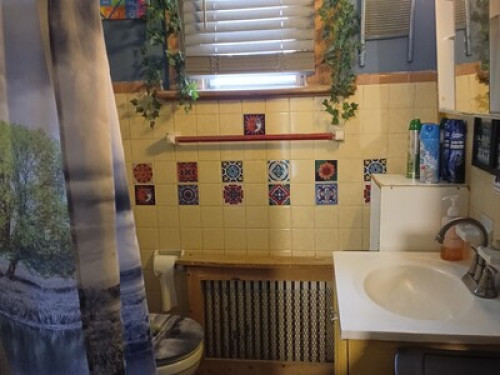 Albany Medical/ Colleges/ downtown 