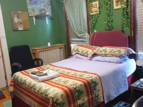 Albany Medical/ Colleges/ downtown 