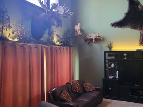 Spacious fully furnished Bedroom, O