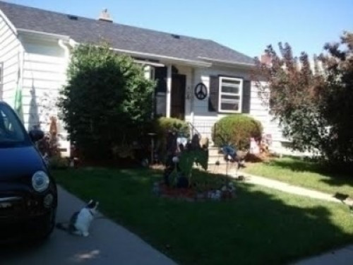 Cat  lovers welcome. I have a pool!