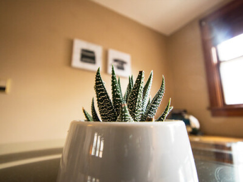 Awesome Upper Duplex in Bay View  - Gallery - 19