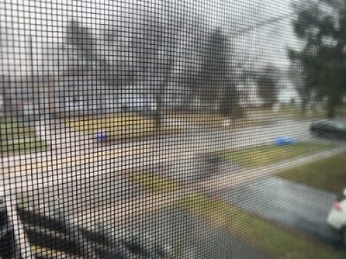 Long term basement for rent