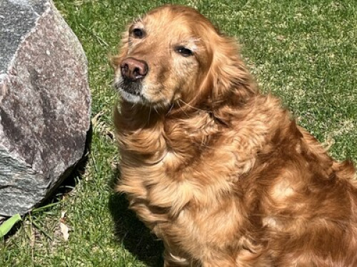 Room with another RN!  - Gallery -  5