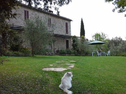 Crevole house in Val di Merse