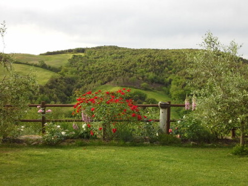 Crevole house in Val di Merse - Gallery - 18