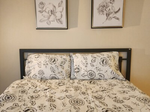 Basement Apartment ,2 day notices  - Gallery - 7