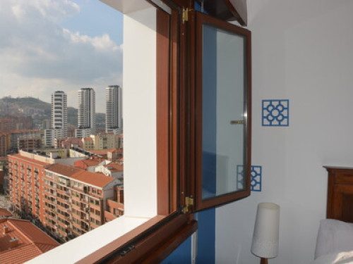 Great Views of Bilbao