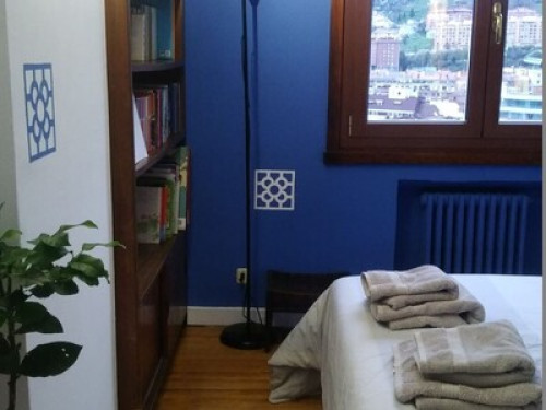 Great Views of Bilbao