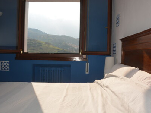 Great Views of Bilbao - Gallery - 12