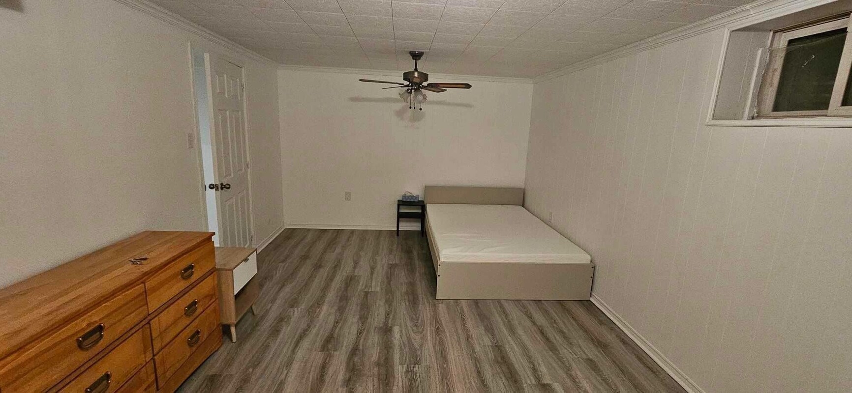 Basement Master Bedroom (Full Room) - 1