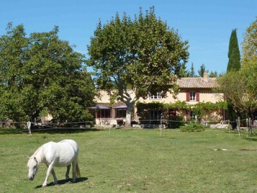 large family house in the country