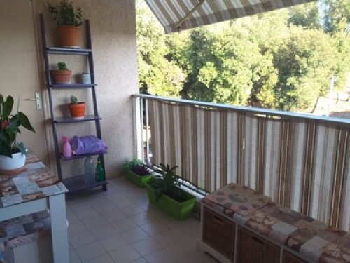 Small room in a nice area