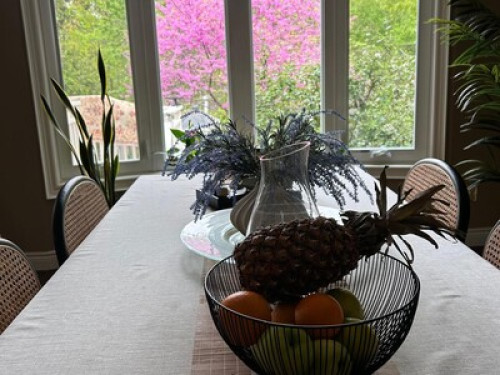 多大密西分校UTM高端小区房间出租/Homestay