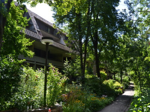 Mississauga Homestay  - Gallery -  5