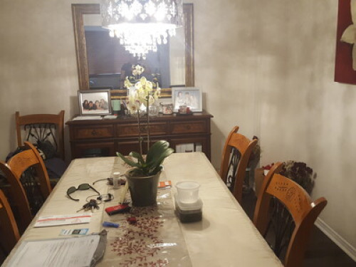Homestay for students