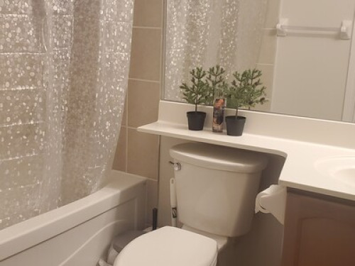 1 bedroom (private) in shared condo