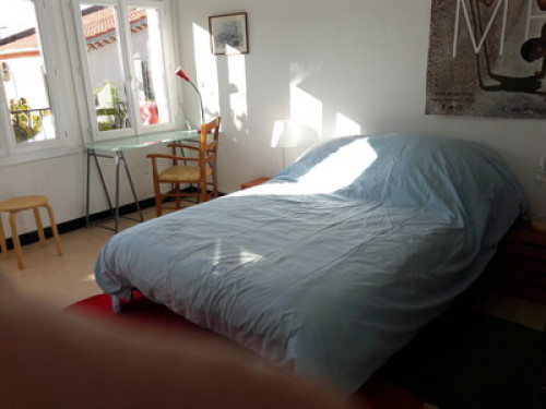 Welcome to Montpellier-Aiguelongue - Gallery - 8